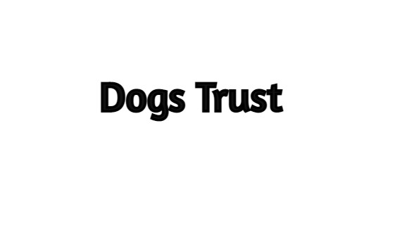 Pop Up – Dogs Trust