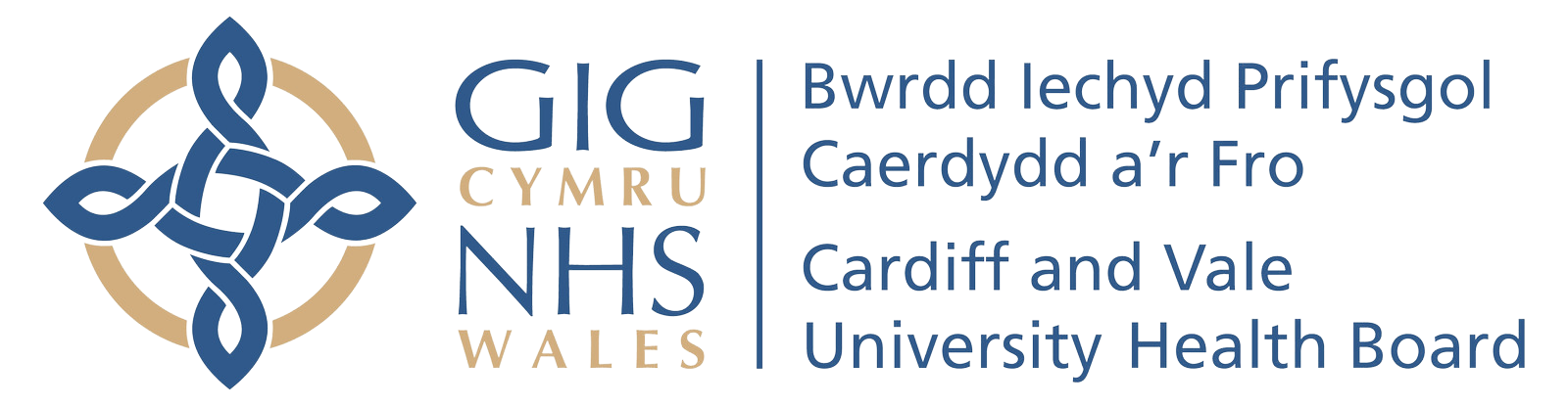 NHS Wales – Digital transformation in NHS Wales CaV Therapies