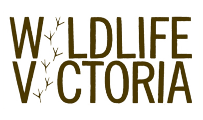 Wildlife Victoria
