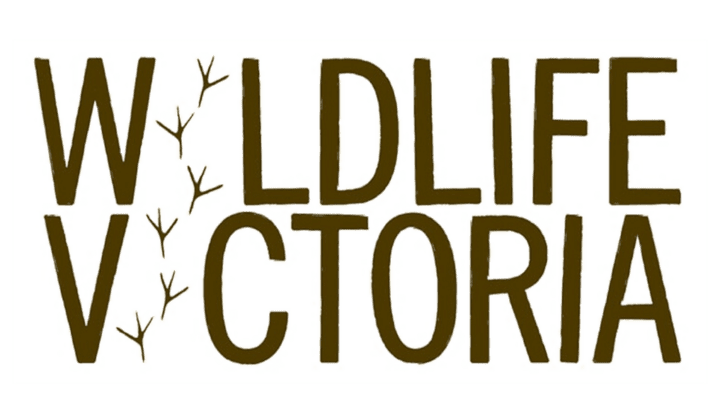 Pop Up – Wildlife Victoria